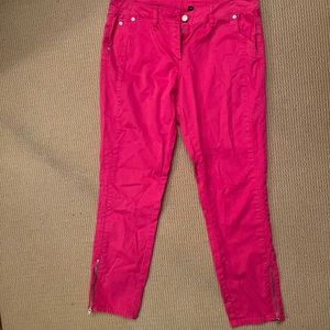 Skinny Leg Ankle Zipper Pants